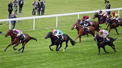 malaysia horse racing results|Past Results .